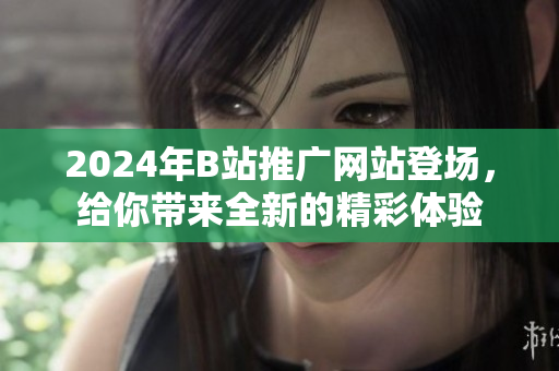 2024年B站推廣網(wǎng)站登場，給你帶來全新的精彩體驗