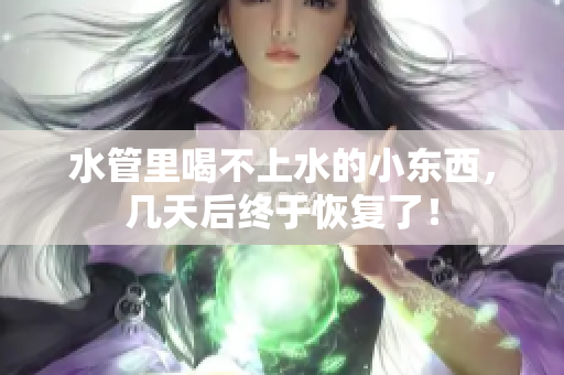 水管里喝不上水的小東西，幾天后終于恢復了！