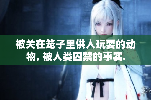 被關(guān)在籠子里供人玩耍的動(dòng)物, 被人類囚禁的事實(shí).